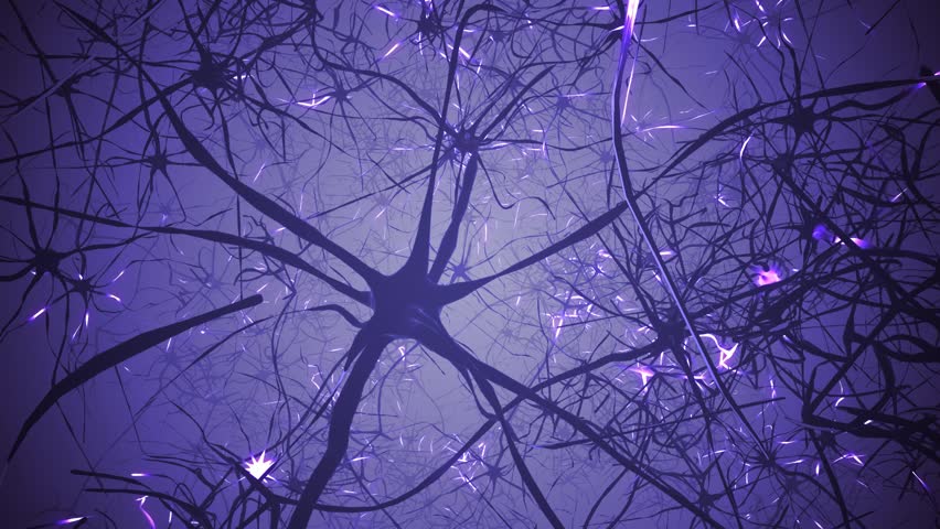 Neurons in brain. 3D seamless looping animation of neural network. Royalty-Free Stock Footage #32740222