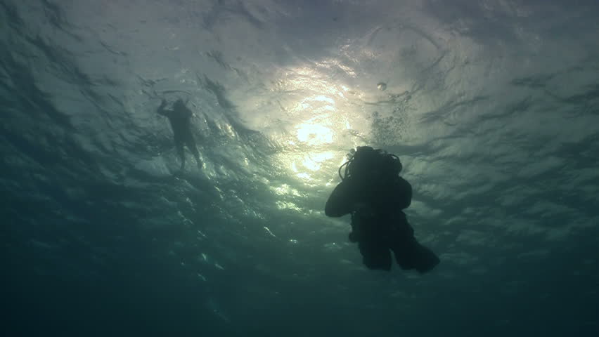 Diver swims over camera. Red sea