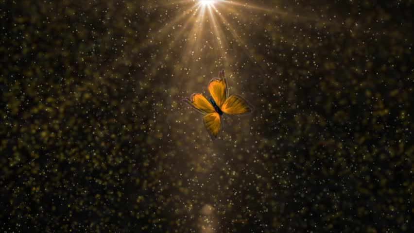 transformation in the form of luminous particles with flying butterfly