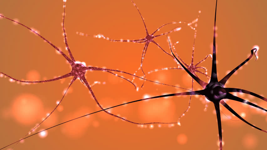 Nerve Cells Stock Footage Video (100% Royalty-free) 3275165 | Shutterstock