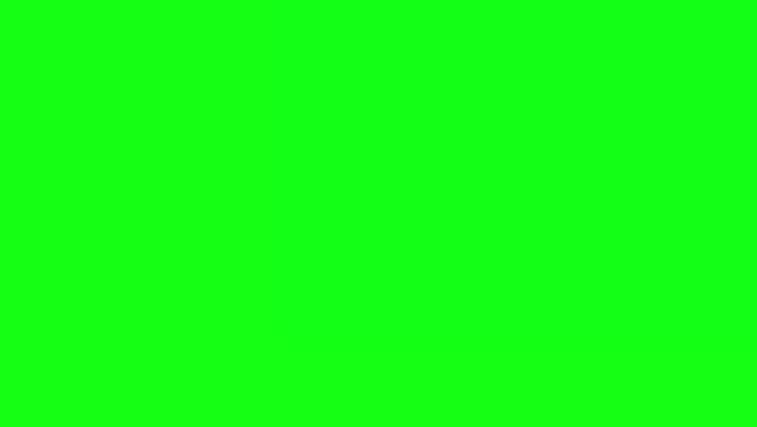 Hummingbird fly in slow motion on green screen Royalty-Free Stock Footage #3275177