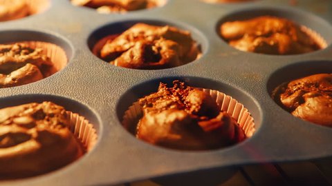 Cupcake. Baking in oven. Time lapse footage of cooking muffins. UHD