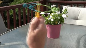 Clip of hand making plastic balls collide toy, outside in natural lighting.
