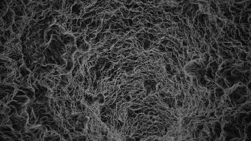 Zombie texture. Текстура микроскоп. Кожа инопланетянина текстура.