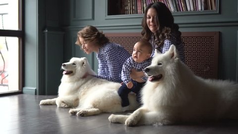 57 Mom aunt boy Stock Video Footage - 4K and HD Video Clips | Shutterstock
