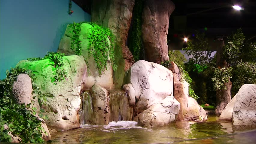 Exotic fishes in aquarium