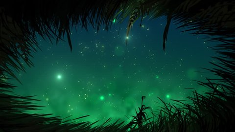 Looking at sky from grass at night with fireflies loop