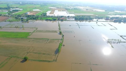High angle view Floods rice field in rural Thailand.