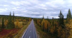 Autumn color road, Cinema 4k aerial view of a white car driving on a fall road, between colorful autumn forest and tunturi fjeld mountains, on a rainy day,Lapland, Finland