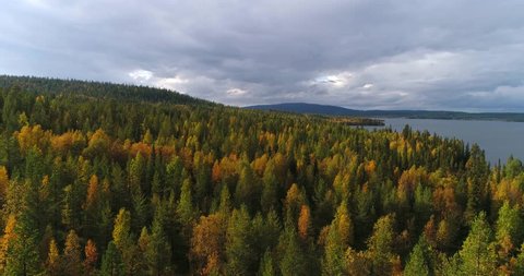 Autumn color forrest, Cinema 4k aerial view over colorful autumn trees, towards lake and fjeld tunturi, on a sunny and rainy fall day, near pallas-yllas national park, Lapland, Finland