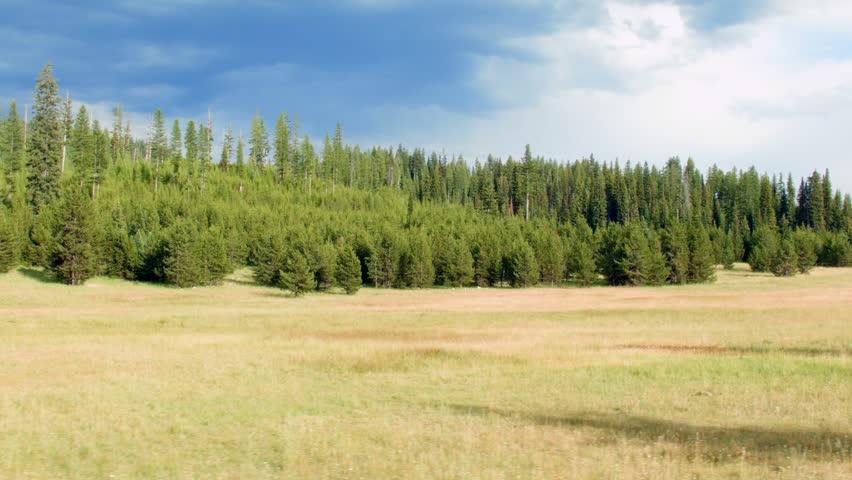 Forest meadow drive Elkhorn Mountains Oregon Wallowa