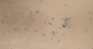 Close video of creamy mushroom soup being stirred with a metal spoon while heating.
