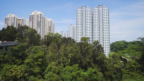 Dramatic view of contemporary residential towers in Singapore. from an elevated catwalk through the treetops at Telok Blangah Hill Park. UHD 4k video