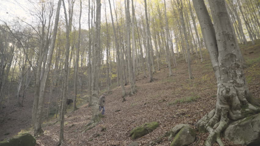 Funny scene from shooting set, tall guy with hiking equipment walking through deep forest to the two young women that looking in map by the stream, man slipping and falling on them, crane shot