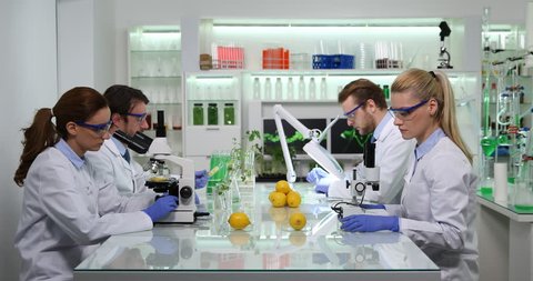 Team of Professional Researchers Examine Healthy Lemon Fruits Test Laboratory