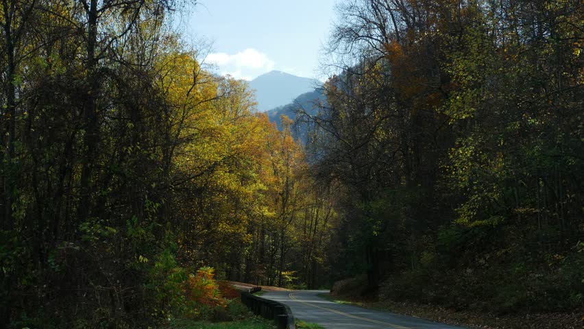 Highland road in Great Smoky Mountains National Park
