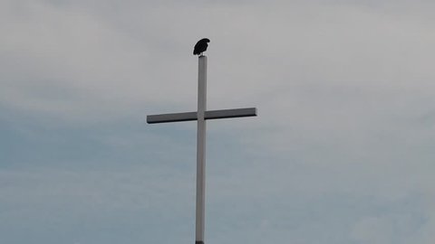 Crow perched on cross