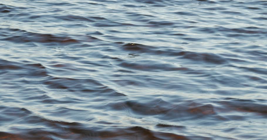 Close up of waving water surface of lake, low angle shot. | Shutterstock HD Video #32917357