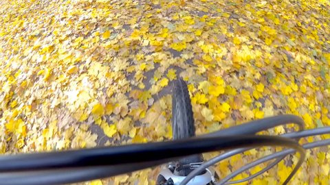 Point of view camera filming. Cyclist ride on a autumn leaves in a Central park.
