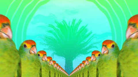 
Minimal Motion collage art. Fashion Many Parrots Tropical vibes Beach Party mood
