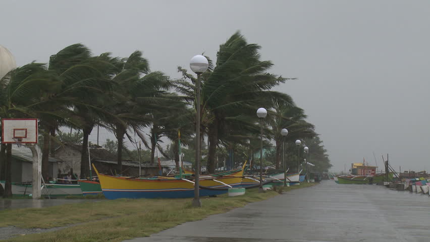 Palm Trees And Fishing Boats Sway In Hurricane Winds - Full HD 1920x1080 30p