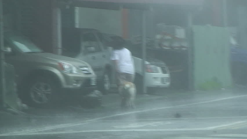 HUALIEN, TAIWAN - SEPTEMBER 2008: Typhoon Jangmi's torrential rain and wind lash