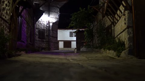Cats at vintage dark alley at night. Old house and street architecture in Bansko, Bulgaria
