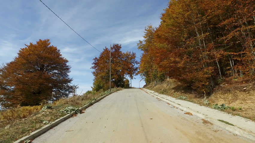 POV drive on country rural road with autumn colorful trees on side