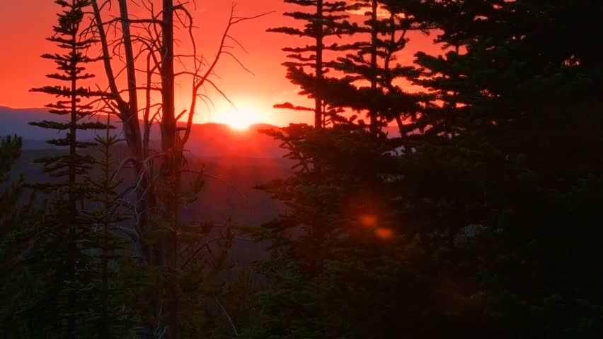 Orange forest sunset Elkhorn Mountains Oregon Wallowa