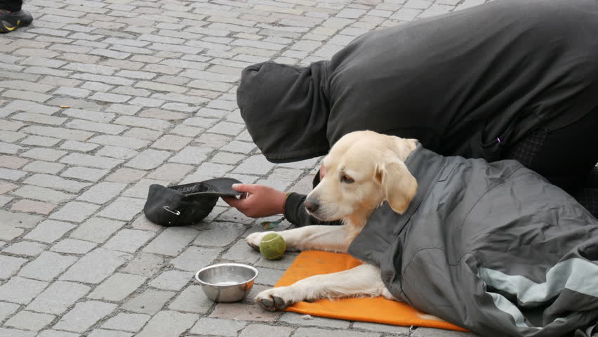 September 12, 2017 - Prague, Czech Republic: The poor man with a dog asks for money or alms with an outstretched hand at people passing by on the Charles Bridge, in Prague