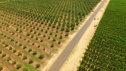 Aerial views of Apple Orchards in Apple Growers Farm