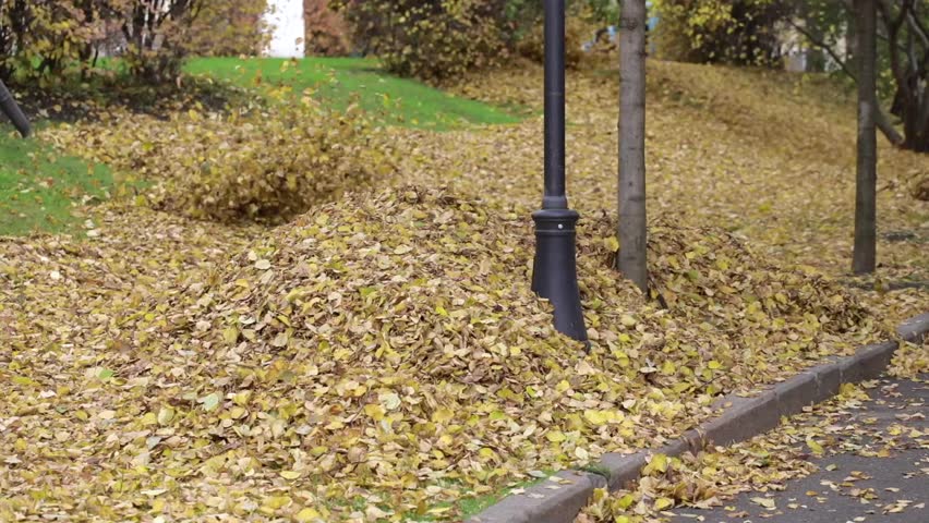 Green grass covered by dehydrated leaves moved by autumn wind. Slow motion