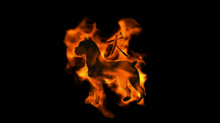Chinese Zodiac Of Fire Dog Arkivvideomateriale 100 Royaltyfritt 3297527 Shutterstock
