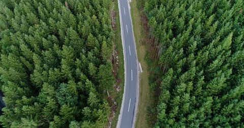 Aerial flight over the car driving along the road surrounded by forest. Austria location.