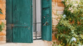 VENICE, ITALY, SEPTEMBER 7, 2017: so-called Venetian or Italian architecture, beautiful vintage glass windows with green shutters and a red brick wall and a curly green plant on the wall