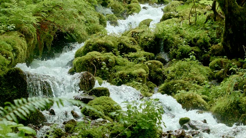 Rushing macro stream mossy lush Columbia River Gorge Oregon Waterfalls