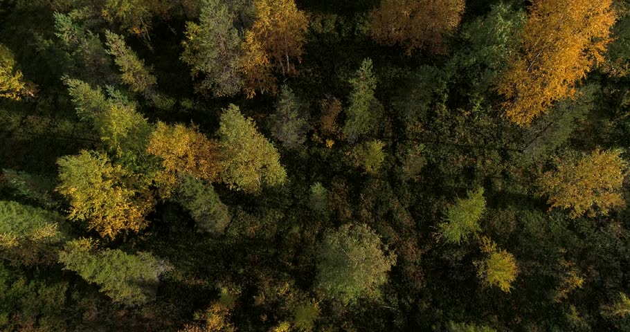 Autumn color forrest, Cinema 4k aerial tilt view over colorful autumn trees, revealing fjeld tunturi mountains, on a sunny and rainy fall day, near pallas-yllas national park, Lapland, Finland | Shutterstock HD Video #32987740
