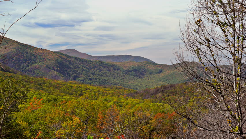 Autumn view in the Tennessee mountains 