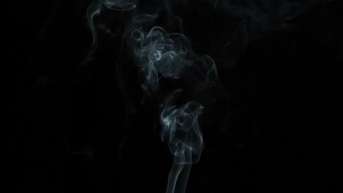 Slow Blue-Gray Smoke. White clearly expressed smoke slowly rises from the bottom of the screen and forms elegant twists on a black background. Filmed at a speed of 240fps