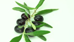 Black Olives rotate over white background. Mediterranean olive close up. Healthy Vegetarian food, diet, dieting concept. 4K UHD video footage