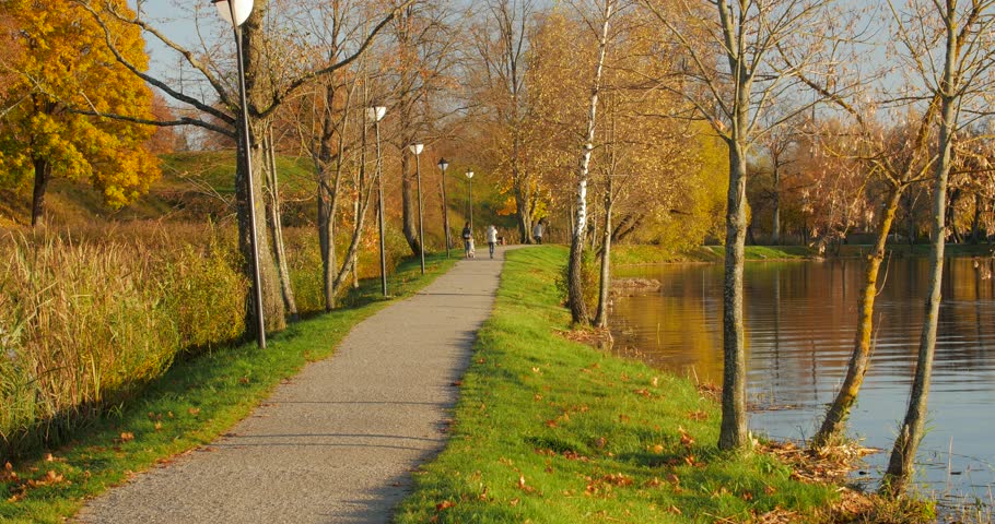 Lady and man bike together at lake shore. Sunny autumn evening.Back view.