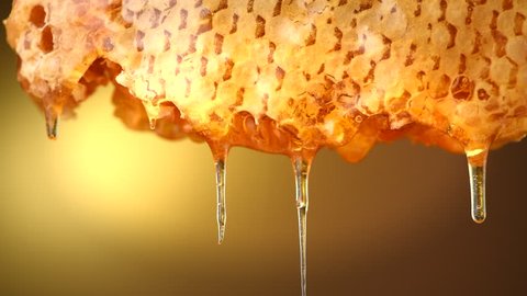 Honey dripping from honey comb on yellow background. Thick honey dipping from the honeycomb. Healthy food concept, diet, dieting. 4K UHD video