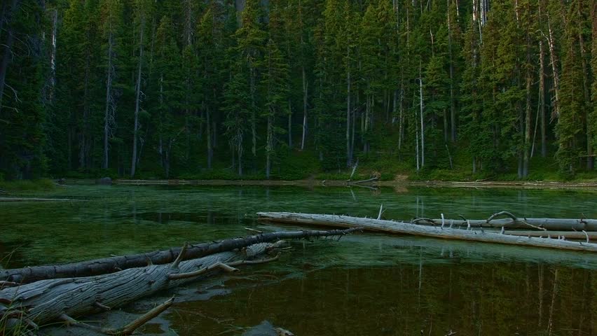 Small forest lake at dawn wide Hidden Swamp Oregon Cascades Oval Lake Mt. Hood National Forest