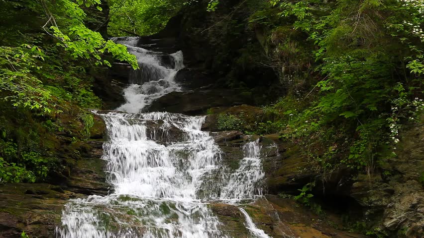 Tranquil waterfall scenery in the middle of forest. Carpathian, Ukraine. HD