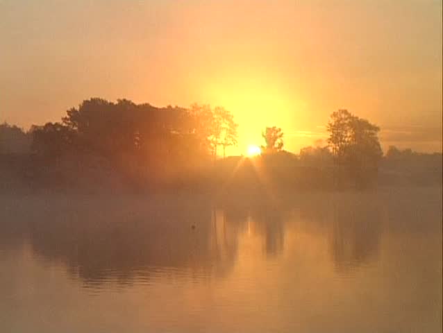 Rising sun over a lake behind trees