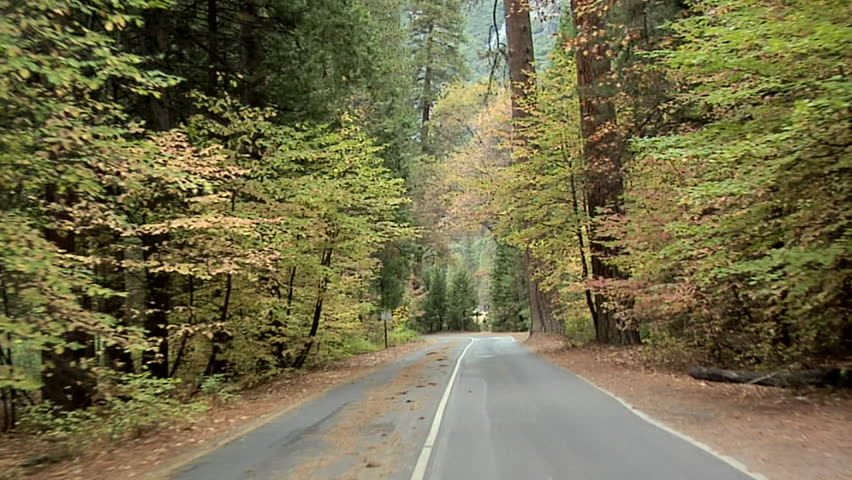 Road inside the Yosemite National Park with Autumn Leaves, California
