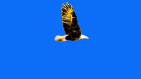 golden yellow Neon bald Eagle fly cartoon seamless loop animation isolated on chroma key blue green screen background - new quality unique handmade dynamic joyful colorful video animal bird footage