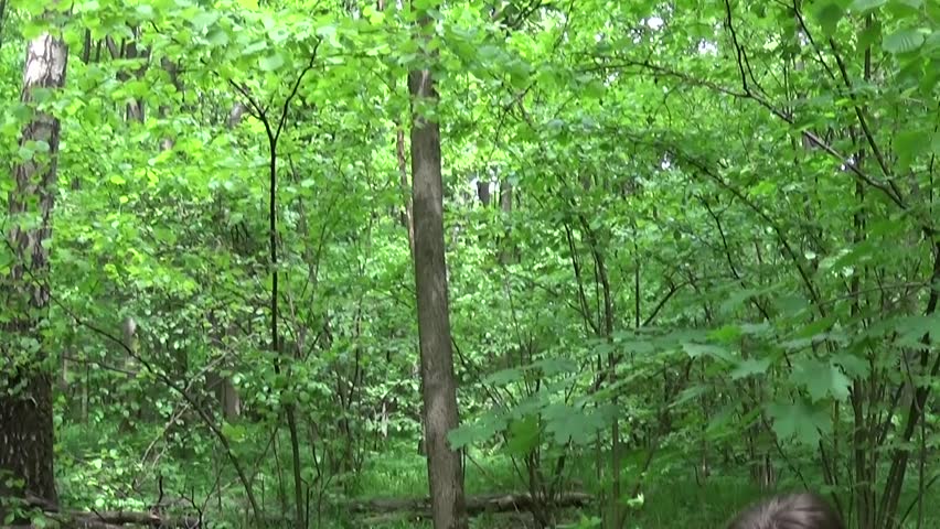 Girl teenager sitting on a bench in the Park using the phone and eating a sandwich.