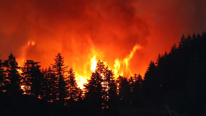 Large forest fire burns the tree covered side of a mountain near Portland Oregon