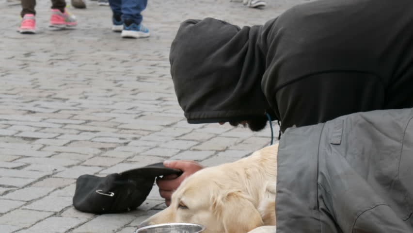 The poor man kneels and begs alms with his outstretched hand next to the lying dog. A beggar is waiting for a coin | Shutterstock HD Video #33025576